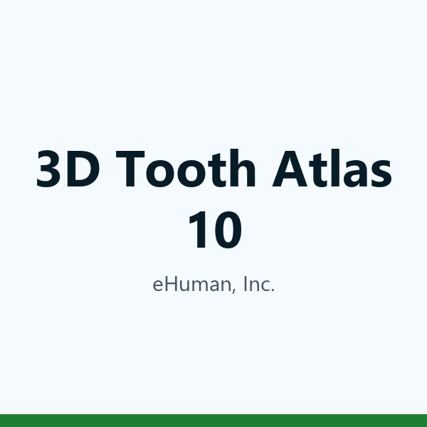 3D Tooth Atlas 10