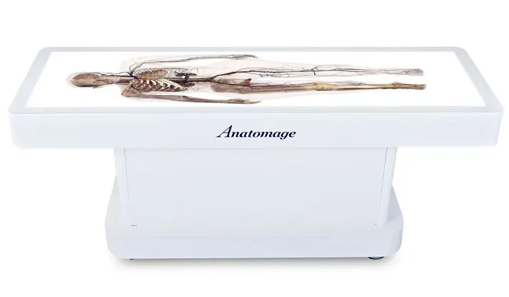 Anatomage Table EDU (Free demo), how to recover a project Anatomage Table EDU (Free demo), data protection checklist with encryption and repositories