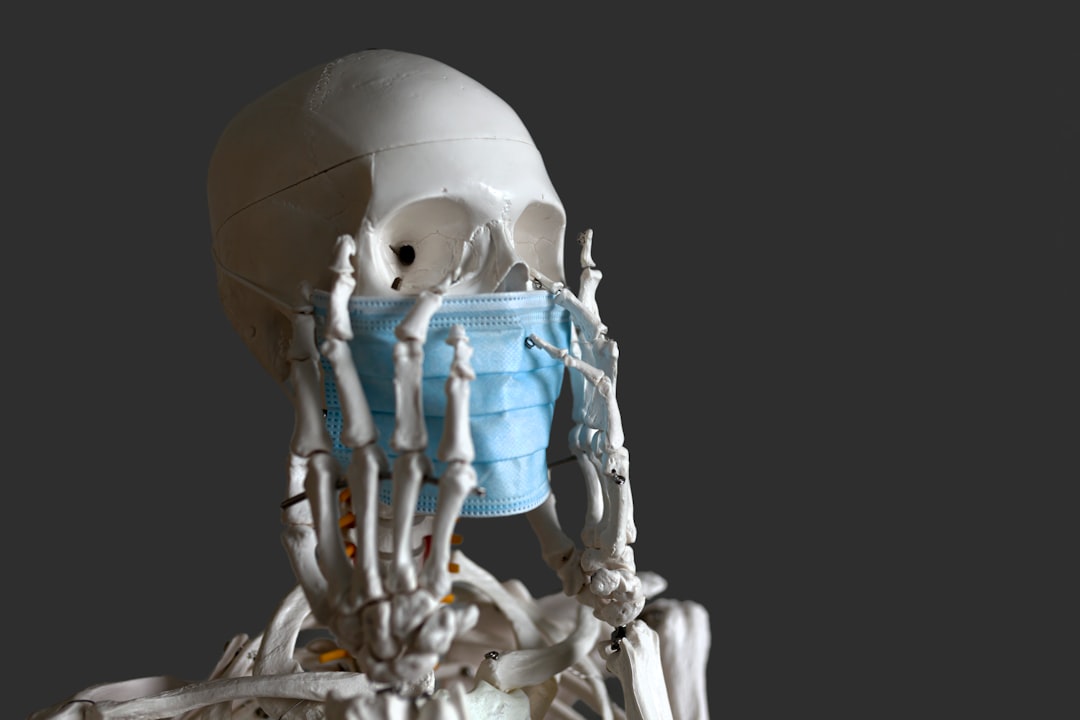 BioImage Suite Web, how to export data BioImage Suite Web, troubleshooting sync and import issues with recovery