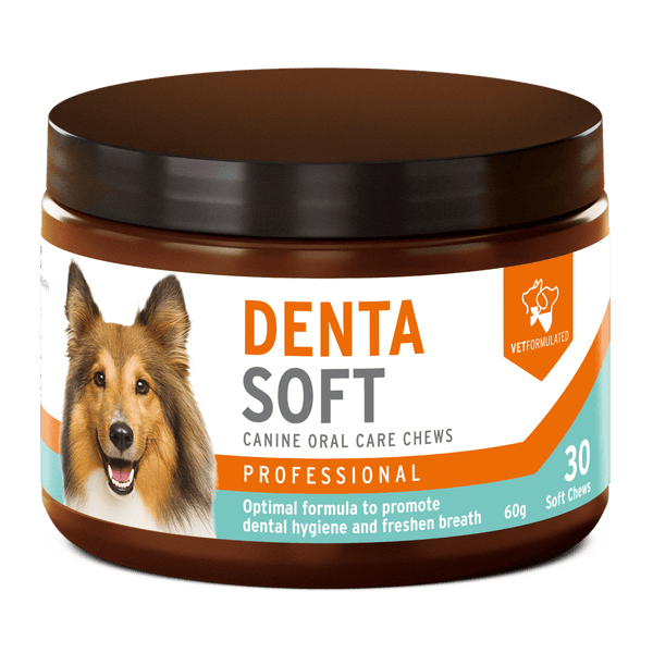 DentaSoft Lite, how to recover a project DentaSoft Lite, data protection checklist with encryption and repositories