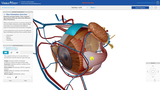 Visible Body (Trial for Dental Anatomy), how to set up Visible Body (Trial for Dental Anatomy), clinic workflow with snapshots and restore points