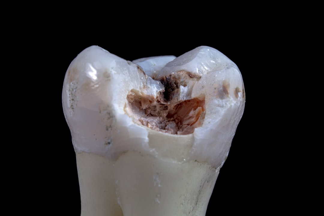 Visible Body (Trial for Dental Anatomy), how to set up Visible Body (Trial for Dental Anatomy), clinic workflow with snapshots and restore points