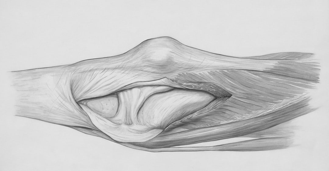 Visible Body (Trial for Dental Anatomy), how to recover a project Visible Body (Trial for Dental Anatomy), data protection checklist with encryption and repositories
