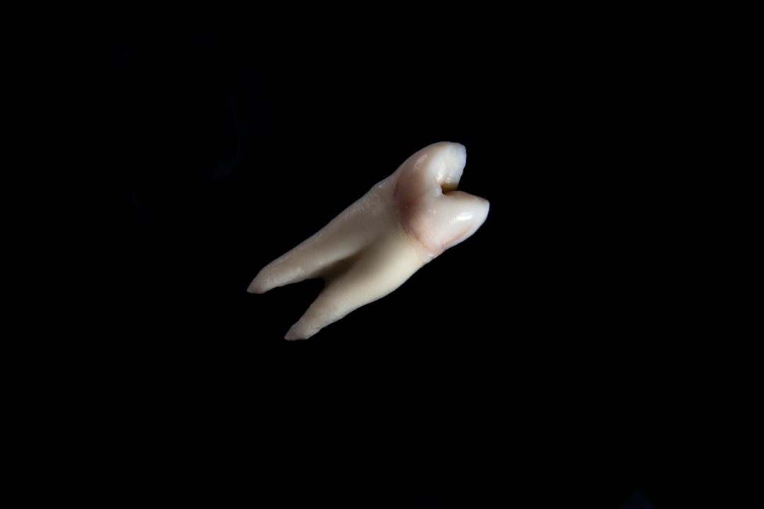Visible Body (Trial for Dental Anatomy), how to troubleshoot Visible Body (Trial for Dental Anatomy), secure records guide with encrypted repositories